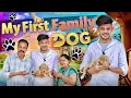MY FIRST FAMILY DOG || Middle Class Family || Sumit Bhyan