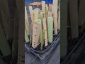 Tree Guard Research