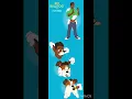dog tf pt 2