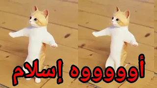 اغنية باسم اسلام القمر عيد ميلاد اسلام اول تعليق السعودية الكويت العراق تركيا الجزائر لرياض جده دبي 