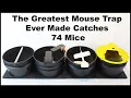 The Greatest Mouse Trap Ever Made Catches 74 Mice - The 4 in 1 Mouse Trap Mousetrap Monday