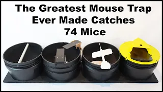 The Greatest Mouse Trap Ever Made Catches 74 Mice - The 4 in 1 Mouse Trap Mousetrap Monday