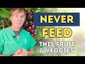 5 Fruits and Vegetables Your Dog Should NEVER Eat