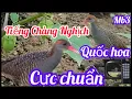 Download Lagu Tiếng Chim Chàng Nghịch, Quốc Hoa Mồi Chuẩn Mb3. Không Tạp Âm. @