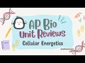 AP Biology Review Unit 3 Cellular Energetics