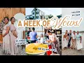 This week was NOT NORMAL huge Mennonite family corn day baby shower for my sis a girls trip