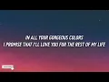 Niall Horan - Black And White (Lyrics)