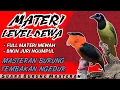 Download Lagu MASTERAN BURUNG TEMBAKAN NGEDUR || MATERI LEVEL DEWA Yang Bikin Juri Ngumpul - FULL MEWAH