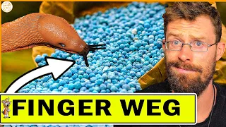 the bitter truth slug pellets will not solve your snail problem