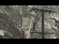 Power outages in Portland metro Willamette Valley due to winter storm