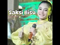 Lagu Saksi Bisu