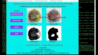 Python Code for Walnut Disease Detection Using CNN Convolutional Neural Network with Source Code