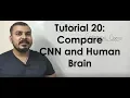 Tutorial 20 - Convolution Neural Network vs Human Brain