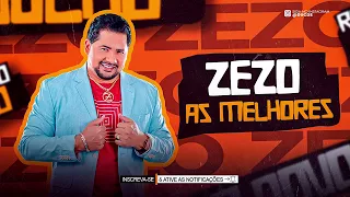 ZEZO - SELEÇÃO AS MELHORES | PRA TOMAR CACHAÇA