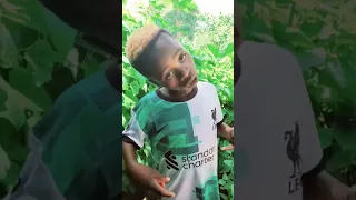 Dogo Vevo Ft Clam Vevo 