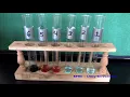 NY State Lab Diffusion Through the Membrane - Part 1