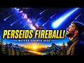 Perseid Meteor Shower 2026 Viewing Guide Best Time to Watch