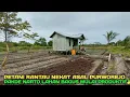 Download Lagu Lahan pakde narto sudah bagus mulai produktif dan kultivator mulai beraksi
