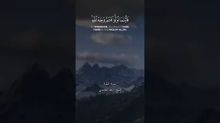 القارئ الشيخ سعد الغامدي 