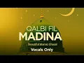 Download Lagu Qalbi Fil Madina || Slowed \u0026 Reverb || Vocals Only || with Bangla Lyric