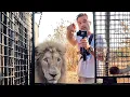 Meet the Characters Thor s Pride with Kevin Richardson The Lion Whisperer