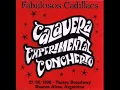 Los Fabulosos Cadillacs - El naranjo seco (Calavera Experimental Concherto)