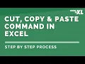 How to use the Cut Copy and Paste command in Excel Step by Step Process