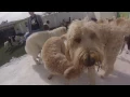 Snow Day at The Bone Adventure