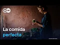 Dieta mediterranea - La receta para una vida larga y saludable DW Documental