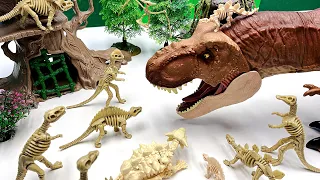 Tyrannosaurus Attack Dinosaur World! Dinosaur Skeleton And Dinosaur Battle- Triceratops Stegosaurus