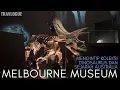 Mengintip Koleksi Dinosaurus dan Warga Pribumi Australia di Museum Melbourne | TRAVLOGUE 