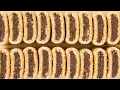 The Fig Newtons Lie You Should Stop Believing