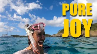 Exploring Virgin Islands National Park (St. John) | SAILING THE CARIBBEAN