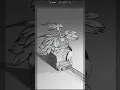 Comic Book Shading in BLENDER