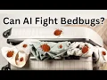 Can AI Fight Bedbugs