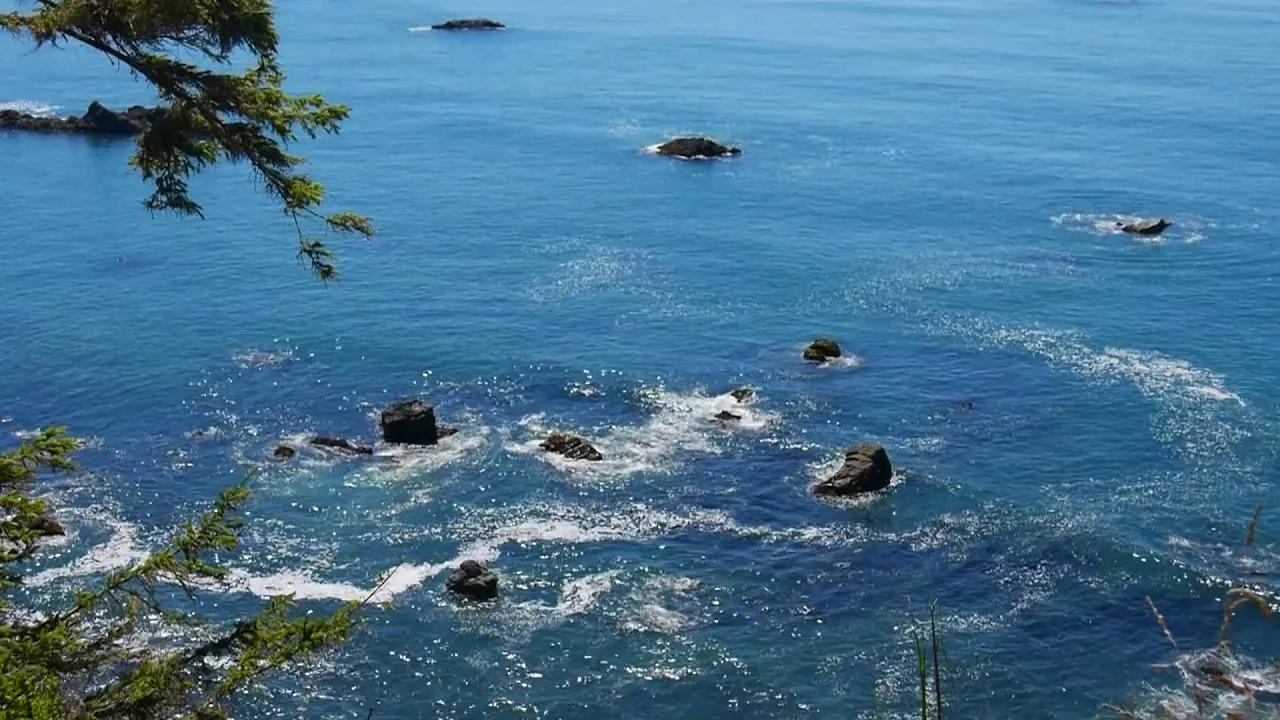Road Tripping up the California Coast
