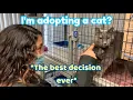 I ADOPTED A CAT because i m lonely