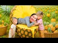 Download Lagu Harvesting Giant Pineapples with My Daughter - Goes to Market Sell and Caring for Sick Pigs