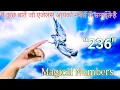 Angel Numbers 236 Meaning Mujhe Bar Bar Kyu Dikhai De Raha Hai Repeated Angel Numbers Janiye Matlab