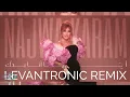 Najwa Karam - Ayya Ana Baddak | نجوى كرم - أيّا أنا بدك (Levantronic Remix)