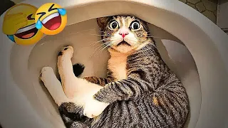 You Laugh You Lose😍Funniest Dogs and Cats 2025😹🐶