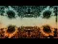SO Duo - Ey Dost [ Official Music Video © 2018 Kalan Müzik ]
