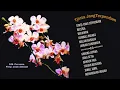 Download Lagu Cinta yang terpendam o.m.purnama