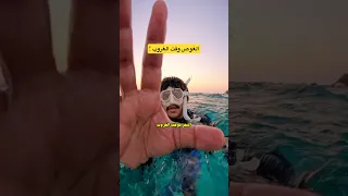 الغوص الحر وقت الغروب دندنها