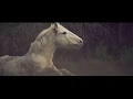 The Young Prince - Archive of Our Own Original Works
