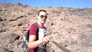 عايش جوال دندنها