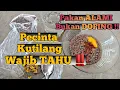 Download Lagu PAKAN BURUNG KUTILANG ||Pakan Tambahan/EF Untuk Burung Kutilang Kesayangan Anda ‼️