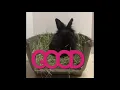 Nala bunny