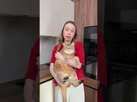 Котик грустит!