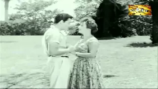 شادية    القلب معاك       دندنها